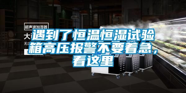 遇到了恒温恒湿试验箱高压报警不要着急,看这里