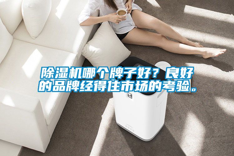 除湿机哪个牌子好?良好的品牌经得住市场的考验。