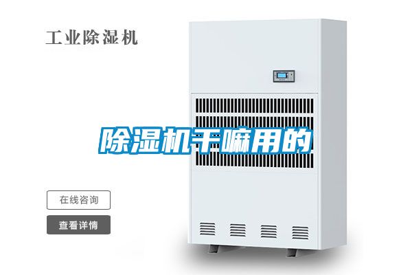 除湿机干嘛用的