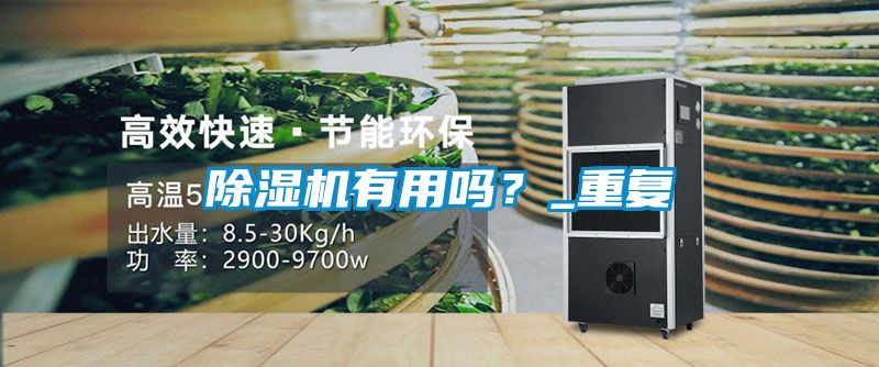 除湿机有用吗?_重复