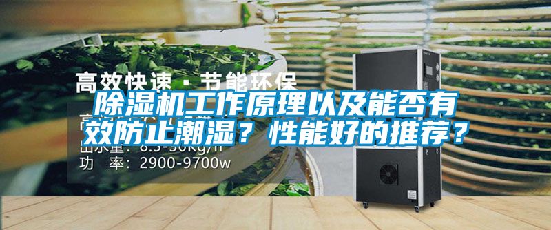 除湿机工作原理以及能否有效防止潮湿？性能好的推荐？