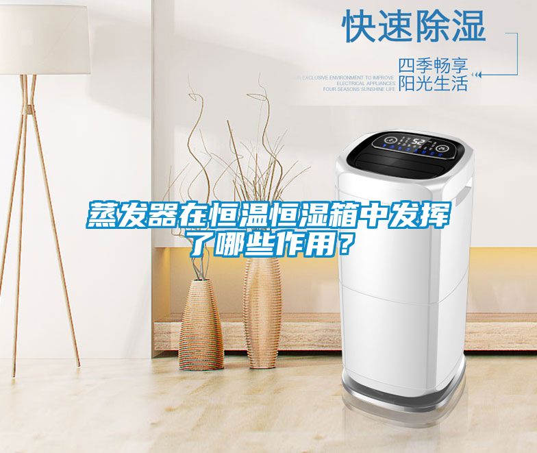 蒸发器在恒温恒湿箱中发挥了哪些作用?