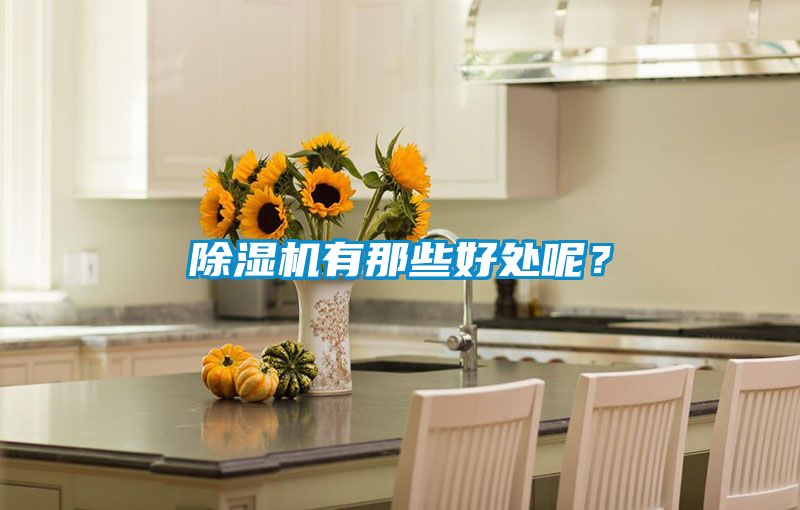除湿机有那些好处呢?