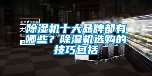 除湿机十大品牌都有哪些?除湿机选购的技巧包括