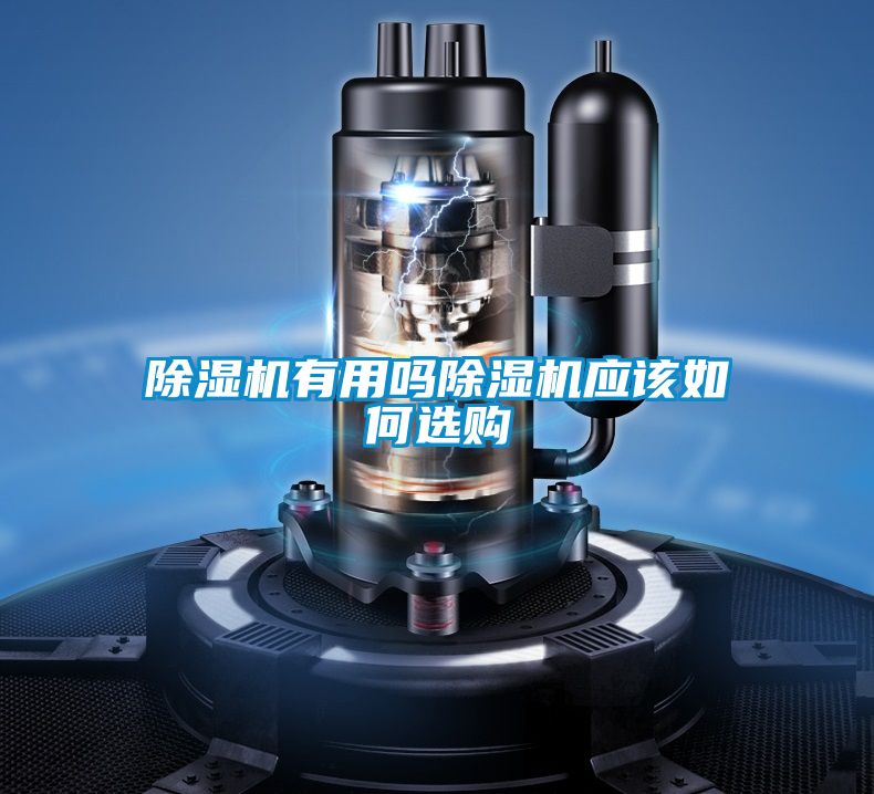 除湿机有用吗除湿机应该如何选购