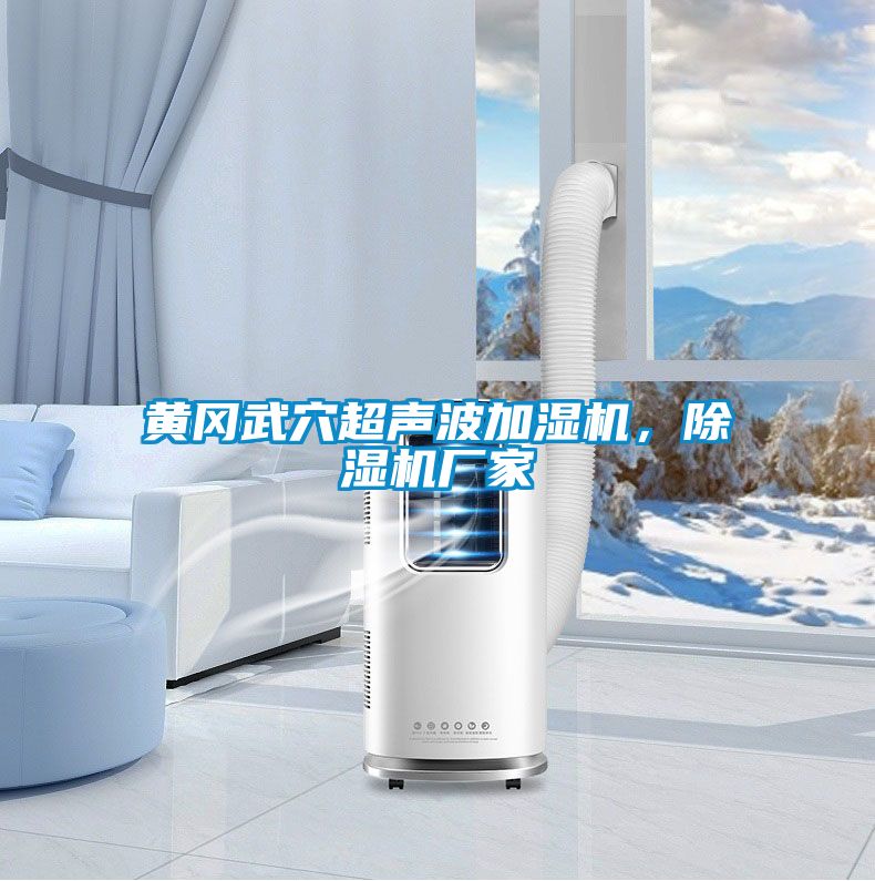 黄冈武穴超声波加湿机,除湿机厂家