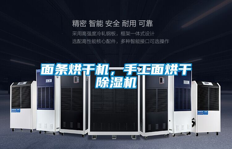 面条烘干机,手工面烘干除湿机