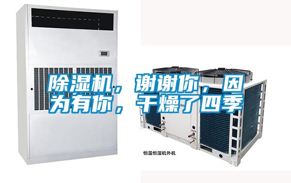 除湿机,谢谢你,因为有你,干燥了四季