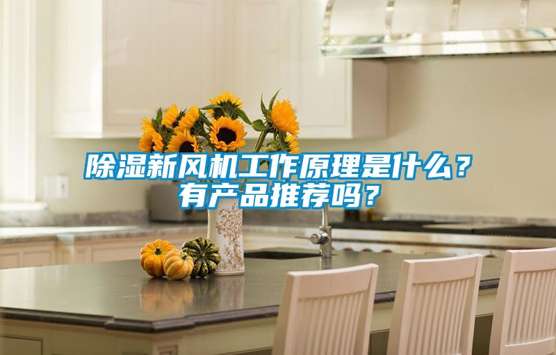除湿新风机工作原理是什么?有产品推荐吗?