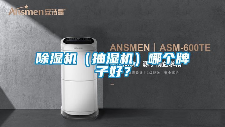 除湿机(抽湿机)哪个牌子好?