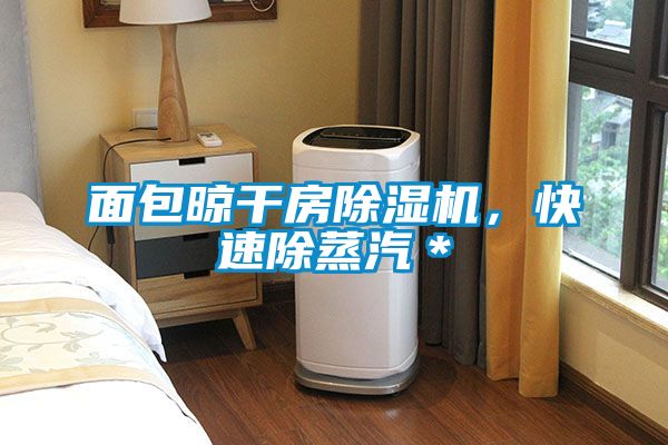 面包晾干房除湿机,快速除蒸汽*