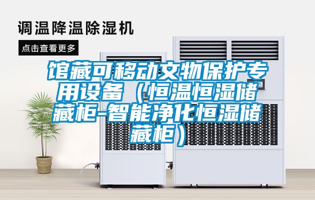 馆藏可移动文物保护专用设备(恒温恒湿储藏柜-智能净化恒湿储藏柜)