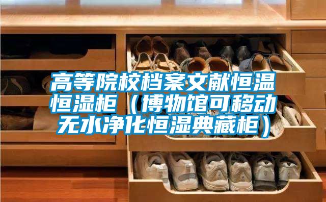 高等院校档案文献恒温恒湿柜(博物馆可移动无水净化恒湿典藏柜)