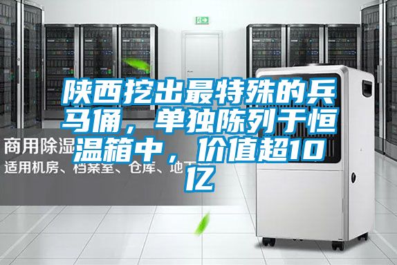 陕西挖出最特殊的兵马俑,单独陈列于恒温箱中,价值超10亿