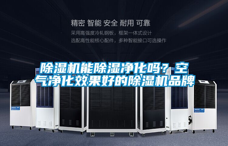 除湿机能除湿净化吗?空气净化效果好的除湿机品牌