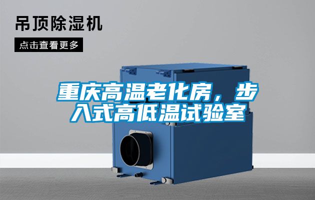 重庆高温老化房,步入式高低温试验室