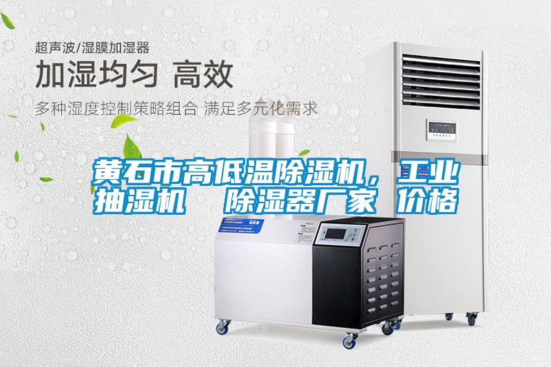 黄石市高低温除湿机,工业抽湿机 除湿器厂家 价格