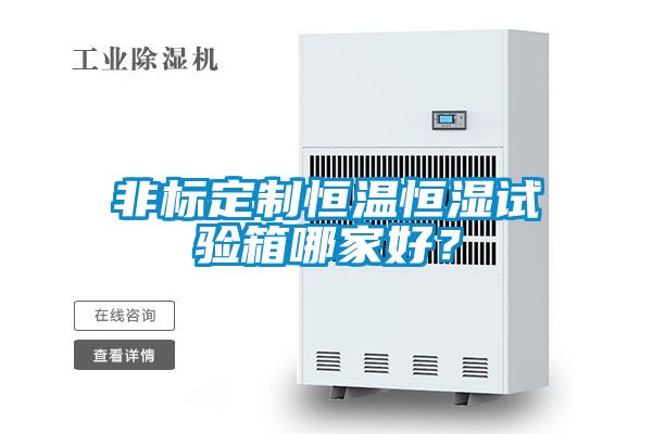 非标定制恒温恒湿试验箱哪家好?