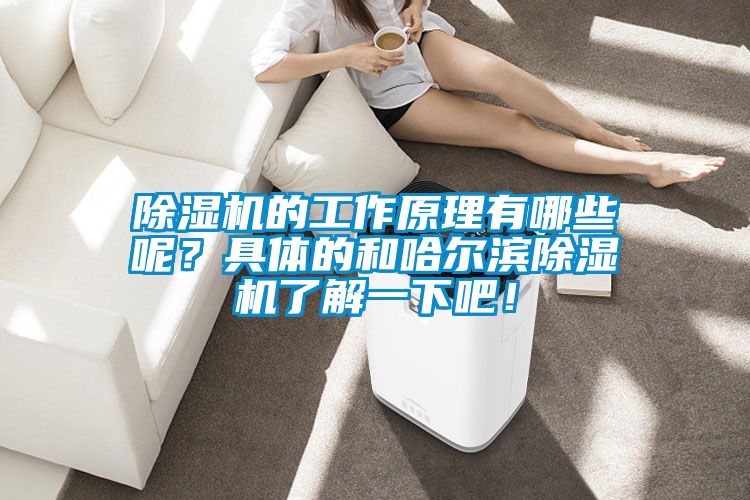 除湿机的工作原理有哪些呢?具体的和哈尔滨除湿机了解一下吧!