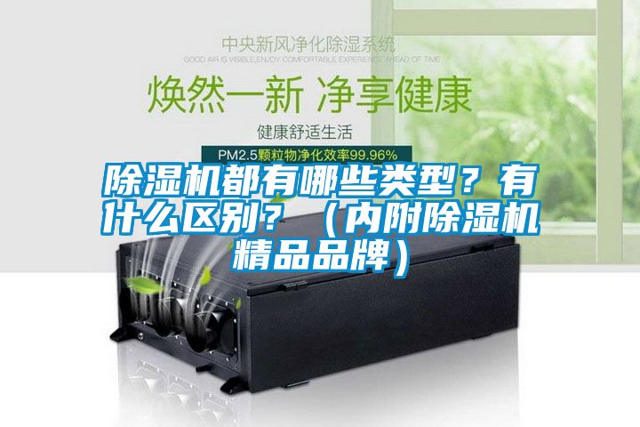 除湿机都有哪些类型?有什么区别?(内附除湿机精品品牌)