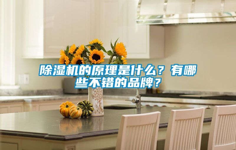 除湿机的原理是什么?有哪些不错的品牌?