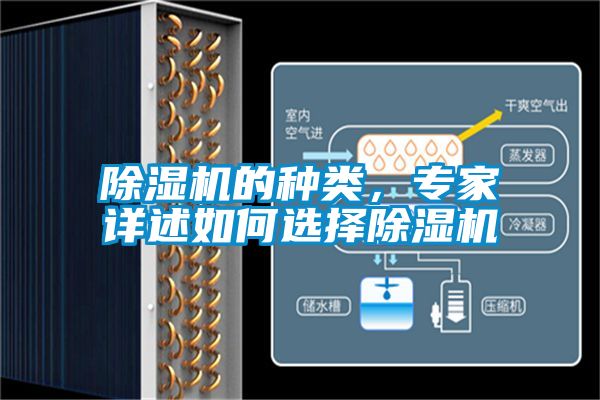 除湿机的种类,专家详述如何选择除湿机