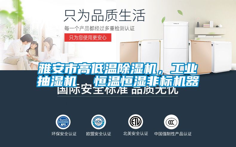 雅安市高低温除湿机,工业抽湿机 恒温恒湿非标机器
