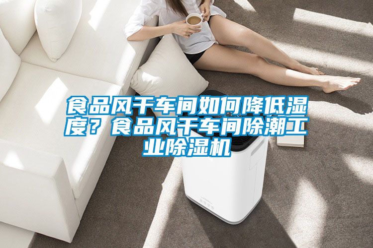 食品风干车间如何降低湿度?食品风干车间除潮工业除湿机